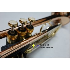 Berlioz T-551 Bb調小號